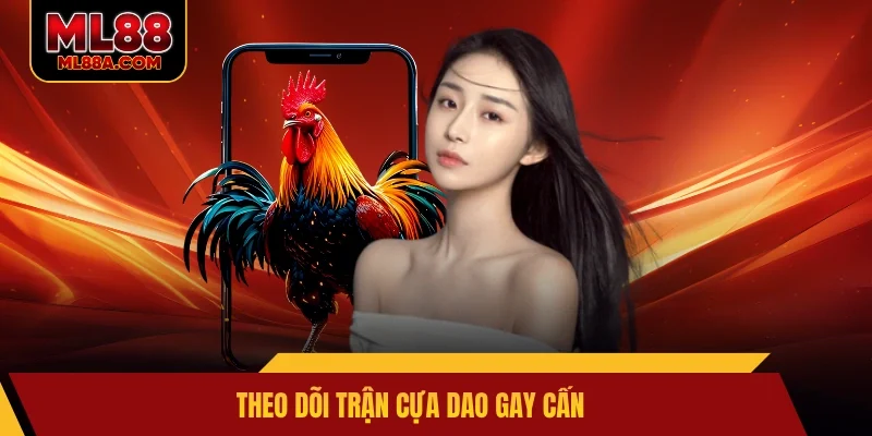 Theo dõi trận cựa dao gay cấn