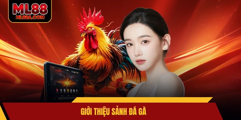 Giới thiệu sảnh đá gà