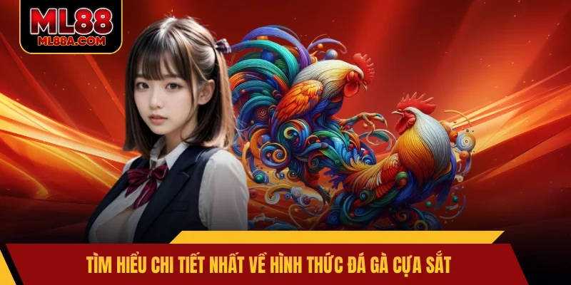 Tìm hiểu chi tiết nhất về hình thức đá gà cựa sắt